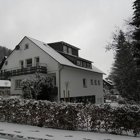 Ferienwohnung Haus Kloosterman Винтерберг Экстерьер фото